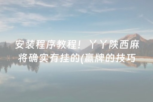 安装程序教程！丫丫陕西麻将确实有挂的(赢牌的技巧)