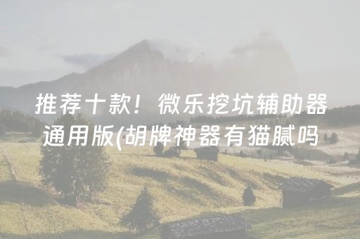 推荐十款！微乐挖坑辅助器通用版(胡牌神器有猫腻吗)