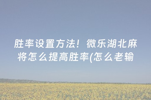 胜率设置方法！微乐湖北麻将怎么提高胜率(怎么老输必备神器)