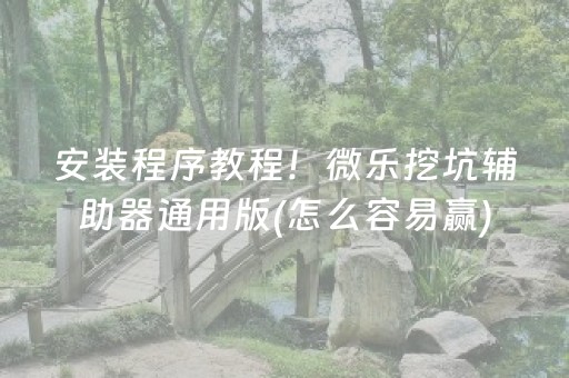 安装程序教程！微乐挖坑辅助器通用版(怎么容易赢)