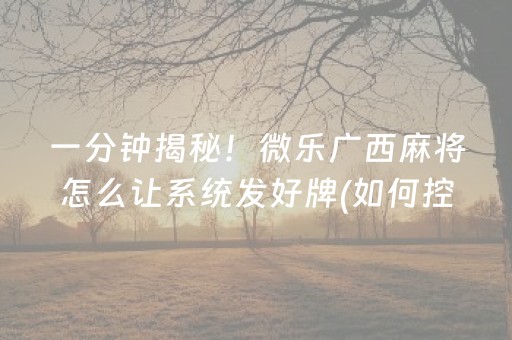 一分钟揭秘！微乐广西麻将怎么让系统发好牌(如何控制输赢)