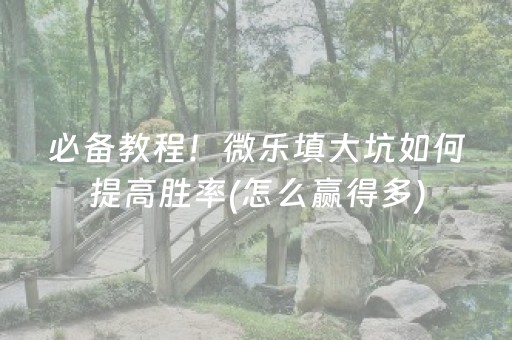 必备教程！微乐填大坑如何提高胜率(怎么赢得多)