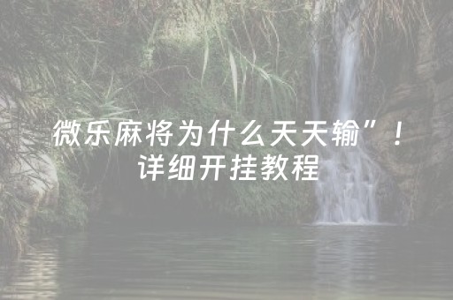 教程辅助“微乐陕西挖坑专用神器（助赢神器通用版）
