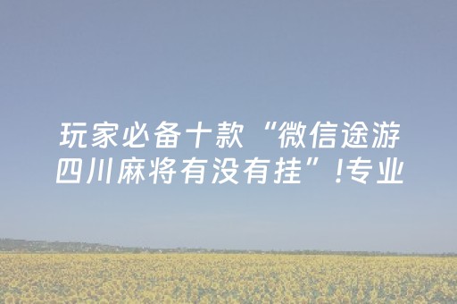 玩家必备十款“微信途游四川麻将有没有挂”!专业师傅带你一起了解（详细教程）-抖音
