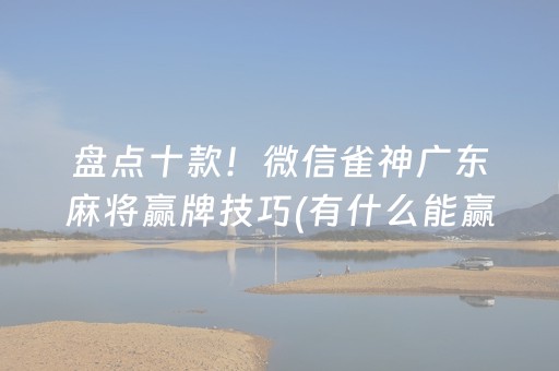 玩家实测“打哈儿麻将输赢规律（助赢神器通用版）