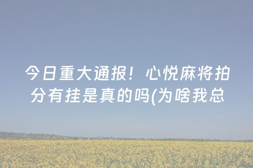 今日重大通报！心悦麻将拍分有挂是真的吗(为啥我总是输)