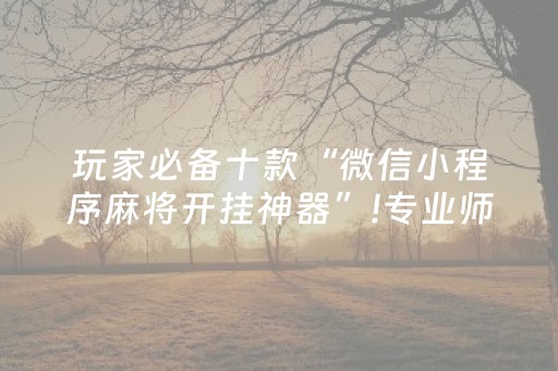 玩家必备十款“微信小程序麻将开挂神器”!专业师傅带你一起了解（详细教程）-抖音