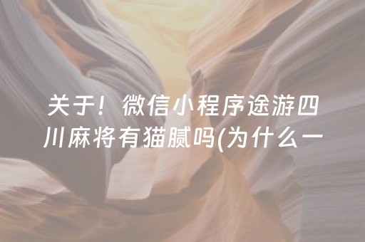 关于！微信小程序途游四川麻将有猫腻吗(为什么一直输)