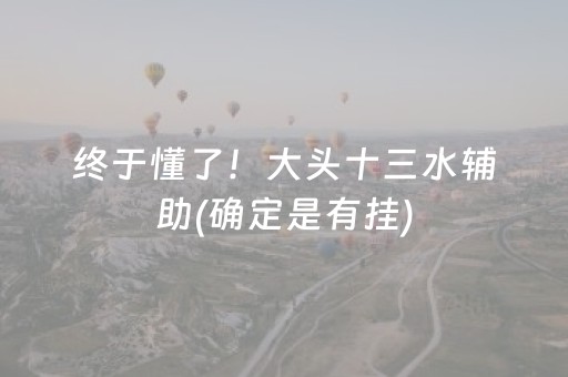 终于懂了！大头十三水辅助(确定是有挂)