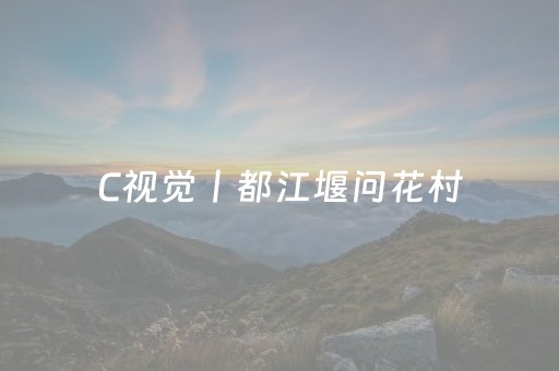 2分钟秒懂“财神十三张辅助工具有挂”（辅牌器插件购买)