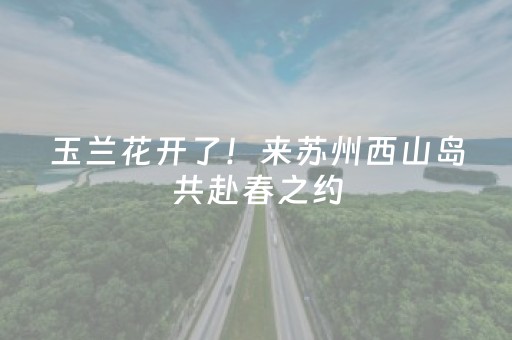实测分享“闲聊红包王有没有作弊器”（详细透视教程）-哔哩哔哩