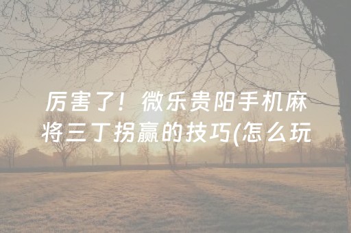 厉害了！微乐贵阳手机麻将三丁拐赢的技巧(怎么玩才能赢)
