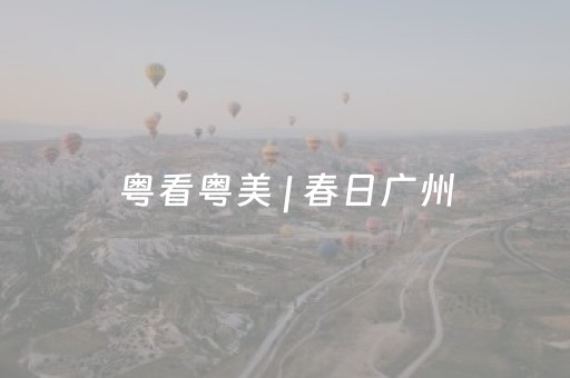 必看教程“微乐山西麻将助赢神器可试用（助赢神器通用版）