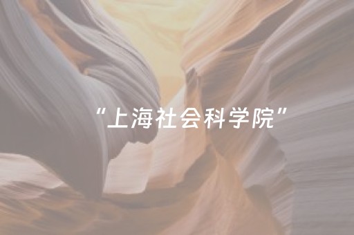 实测结果“程序麻将机自己安装（专用辅牌神器免安装）