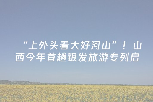 3分钟学会“微乐家乡麻将如何提高胜率”（详细透视教程）-哔哩哔哩