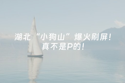 实测分享“微信小程序能开挂吗”（详细透视教程）-哔哩哔哩