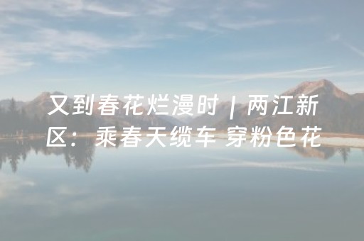 实测结果“微信真的有埋雷避雷10个包控制尾数开挂软件神器”（详细透视教程）-哔哩哔哩