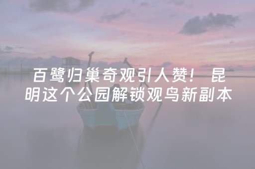 实测结果“普通麻将机胡牌神器（助赢神器通用版）