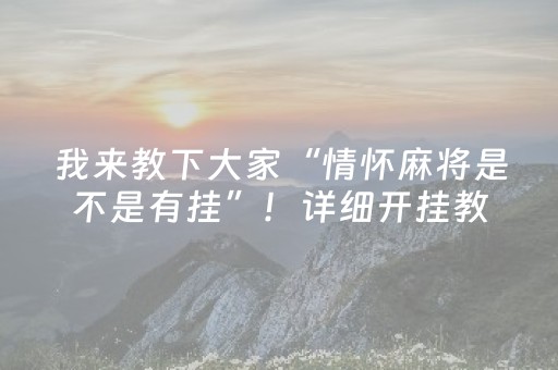 实测分享“微乐捉鸡麻将铺牌器购买”（详细辅助教程）-哔哩哔哩