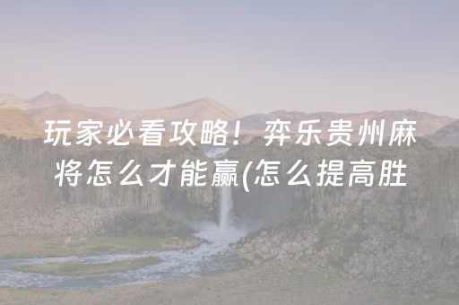 玩家必看攻略！弈乐贵州麻将怎么才能赢(怎么提高胜率)