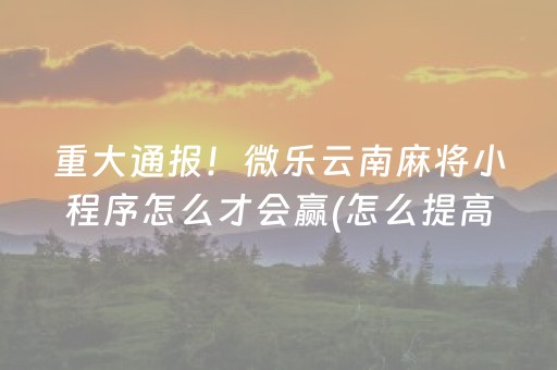 重大通报！微乐云南麻将小程序怎么才会赢(怎么提高好牌几率)