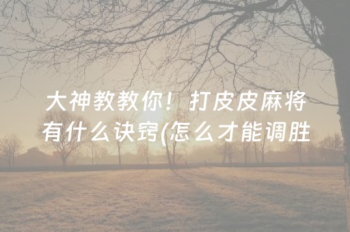 大神教教你！打皮皮麻将有什么诀窍(怎么才能调胜率)