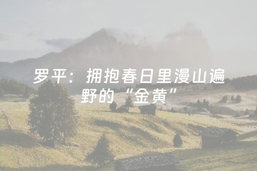 实测教程“边锋跑得快有挂吗（专用辅牌神器免安装）