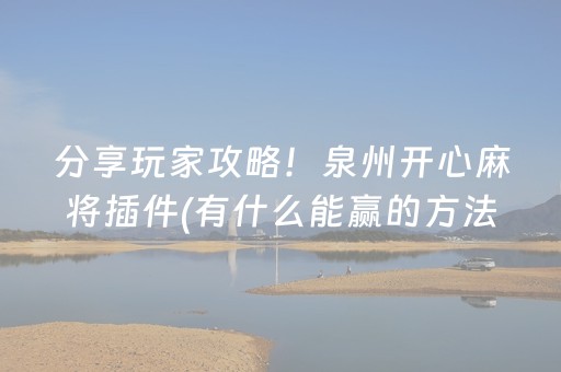 分享玩家攻略！泉州开心麻将插件(有什么能赢的方法)