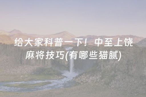 给大家科普一下！中至上饶麻将技巧(有哪些猫腻)