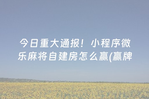 今日重大通报！小程序微乐麻将自建房怎么赢(赢牌技巧插件安装)