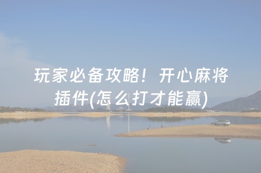 玩家必备攻略！开心麻将插件(怎么打才能赢)