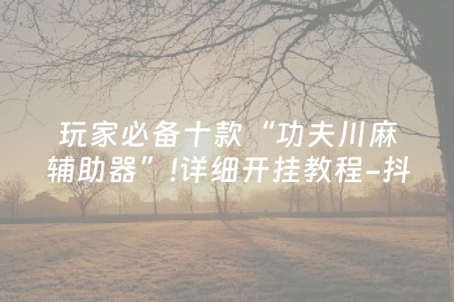 玩家必备十款“功夫川麻辅助器”!详细开挂教程-抖音