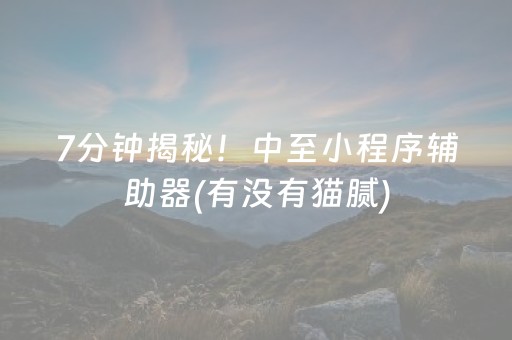 7分钟揭秘！中至小程序辅助器(有没有猫腻)