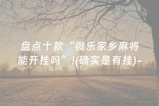 盘点十款“微乐家乡麻将能开挂吗”!(确实是有挂)-抖音