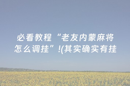 必看教程“老友内蒙麻将怎么调挂”!(其实确实有挂)-抖音