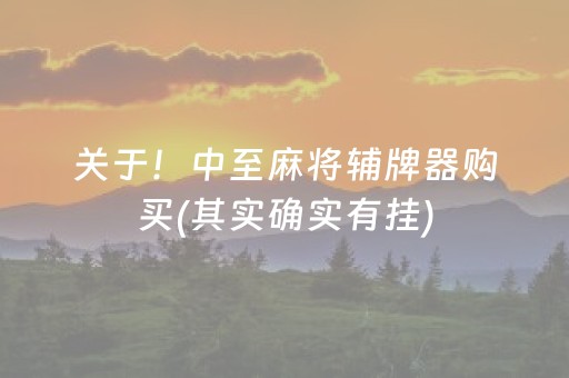 关于！中至麻将辅牌器购买(其实确实有挂)