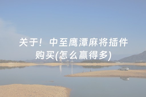 关于！中至鹰潭麻将插件购买(怎么赢得多)