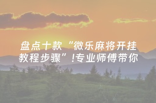 盘点十款“微乐麻将开挂教程步骤”!专业师傅带你一起了解（详细教程）-抖音