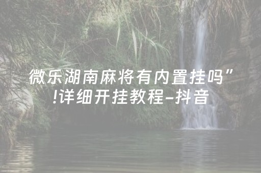 微乐湖南麻将有内置挂吗”!详细开挂教程-抖音