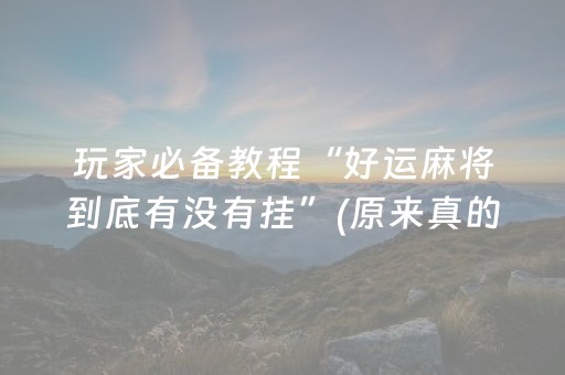 玩家必备教程“好运麻将到底有没有挂”(原来真的有挂)-抖音
