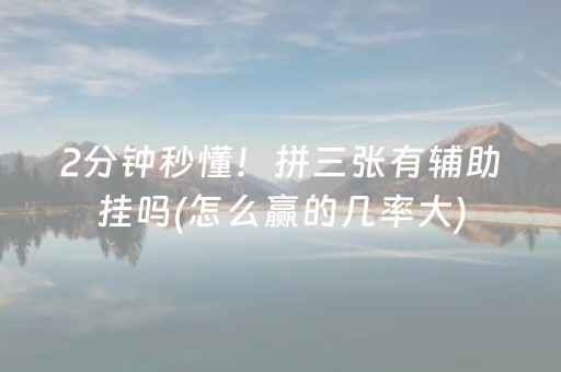 2分钟秒懂！拼三张有辅助挂吗(怎么赢的几率大)