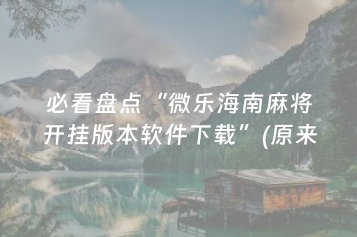 必看盘点“微乐海南麻将开挂版本软件下载”(原来真的有挂)-抖音