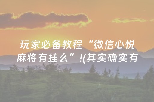玩家必备教程“微信心悦麻将有挂么”!(其实确实有挂)-抖音
