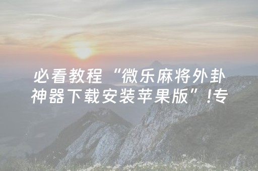 必看教程“微乐麻将外卦神器下载安装苹果版”!专业师傅带你一起了解（详细教程）-抖音