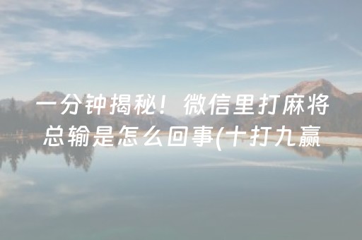 玩家必看攻略“大头十三水辅助软件出售（专用辅牌神器免安装）