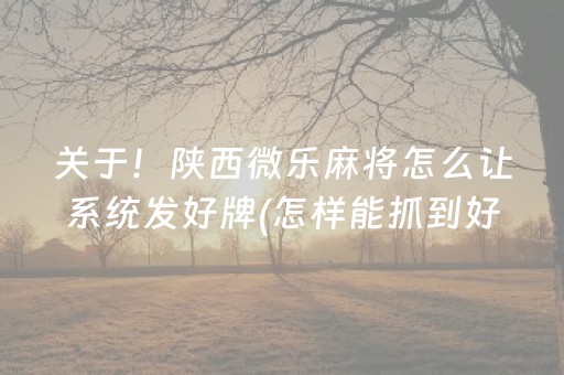 关于！陕西微乐麻将怎么让系统发好牌(怎样能抓到好牌)