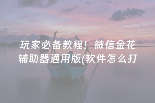玩家必备教程！微信金花辅助器通用版(软件怎么打赢)