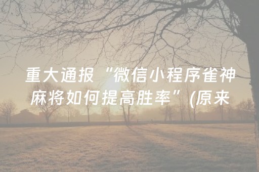 重大通报“微信小程序雀神麻将如何提高胜率”(原来真的有挂)-抖音