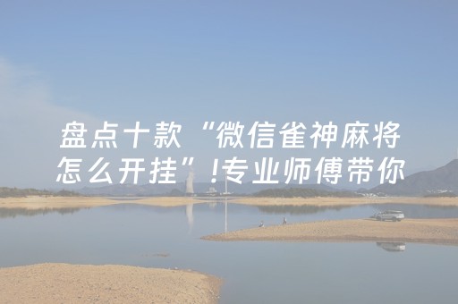 盘点十款“微信雀神麻将怎么开挂”!专业师傅带你一起了解（详细教程）-抖音