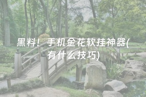 黑料！手机金花软挂神器(有什么技巧)